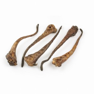Ogonek dzika. Opakowanie 1 kg