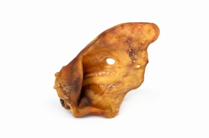 Ucho wieprzowe GIGANT - 1 sztuka 
