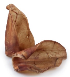 Ucho wieprzowe małe - 1 sztuka