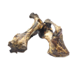 pixlr-bg-result (7)maly.png