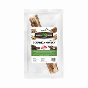 Tchawica końska cała - 1 sztuka 