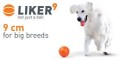 Balto liker 9 1.jpg
