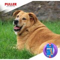 Balto puller maxi2.jpg